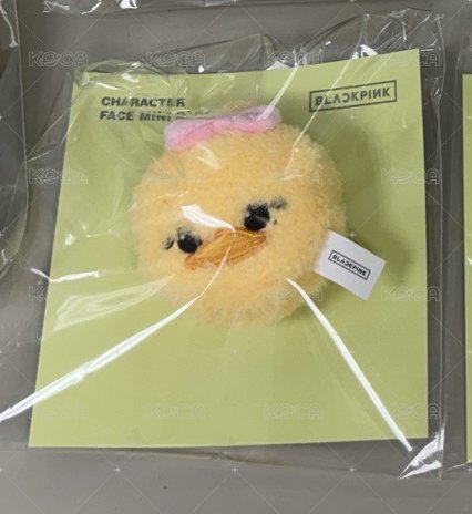 大頭徽章LISA