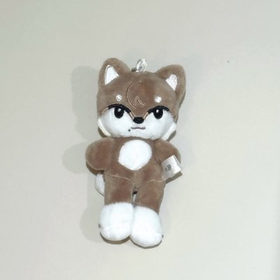 日巡吊娃🐾+通常盤🐈‍⬛🦌