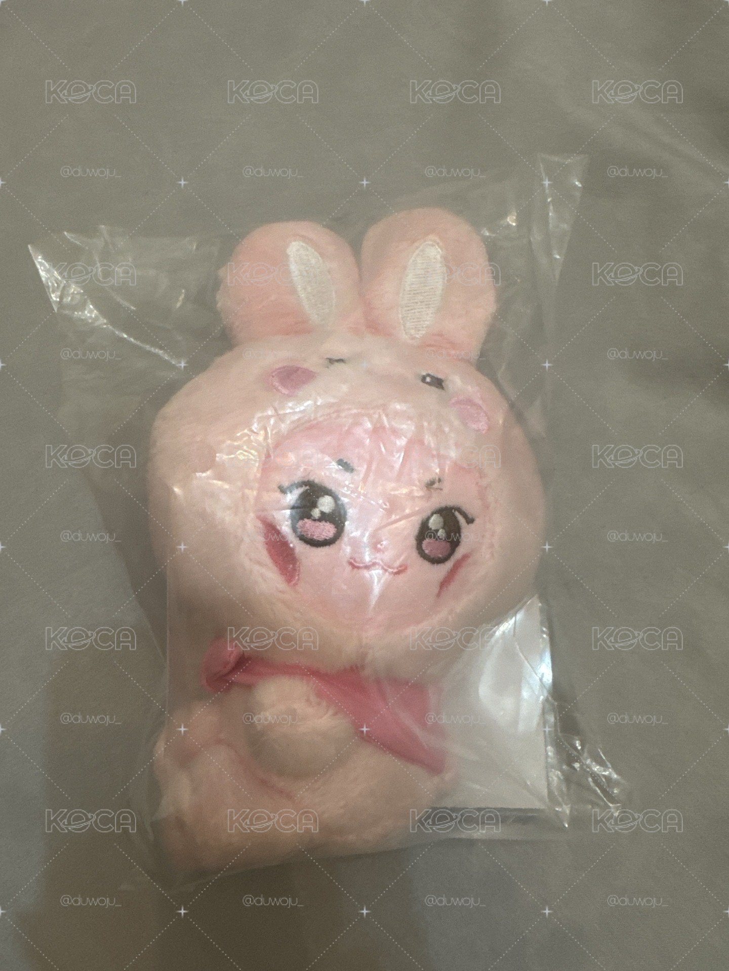 ANITEEZ IN COLOR 吊娃 ANITEEZ X TINY PLUSH KEYRING