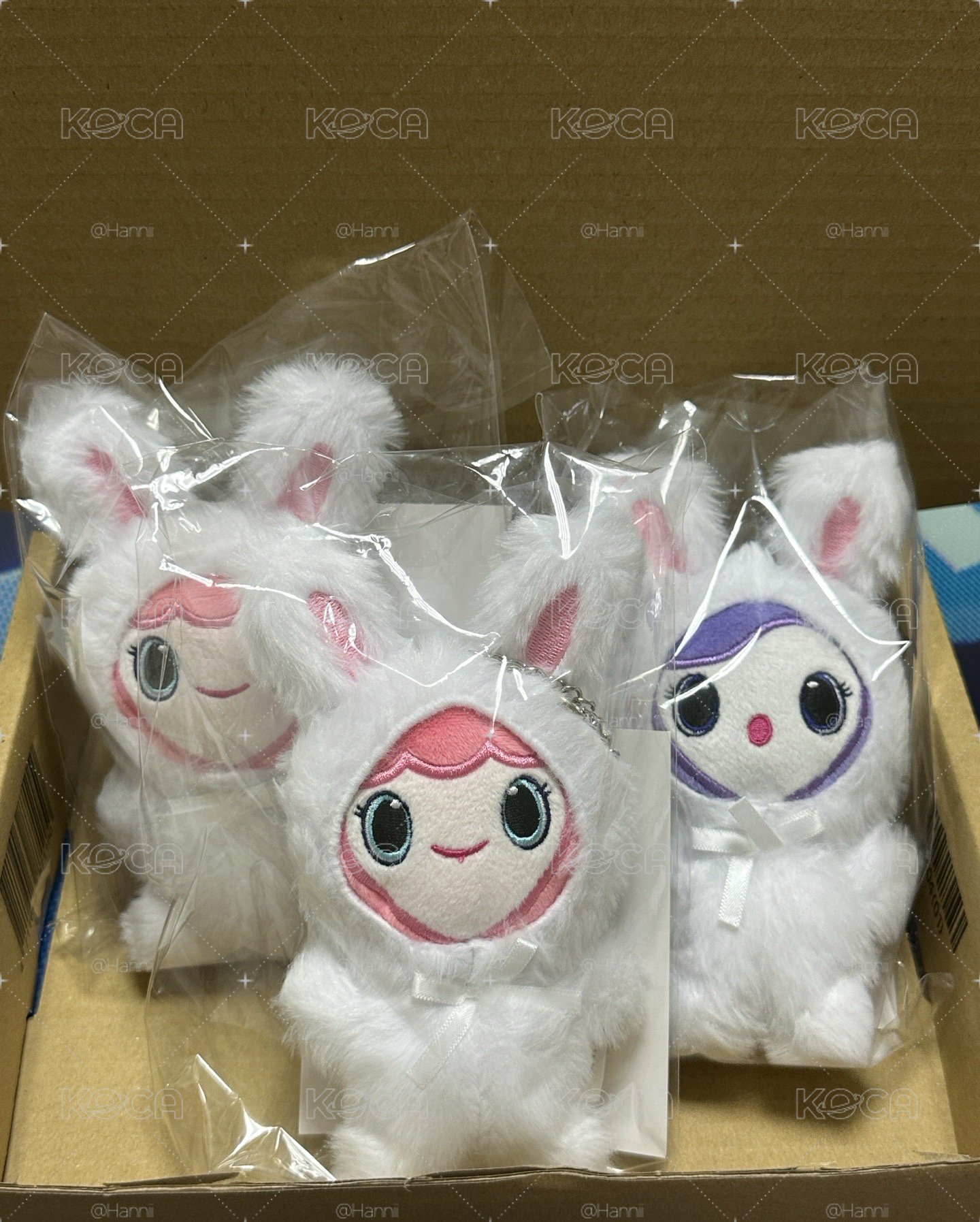 Misamo 兔子娃