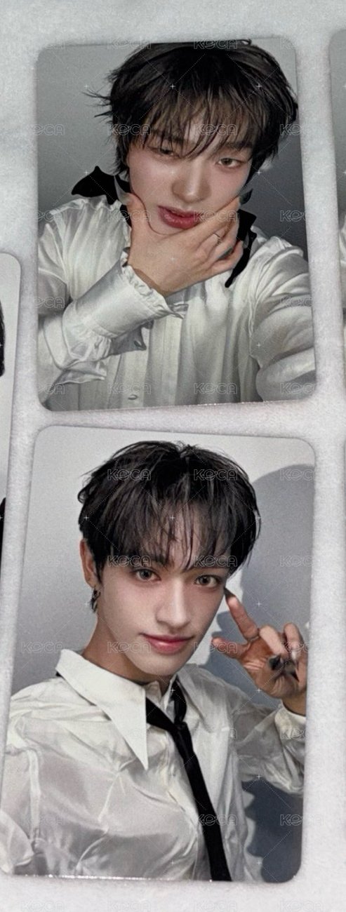 🐧🦌一組