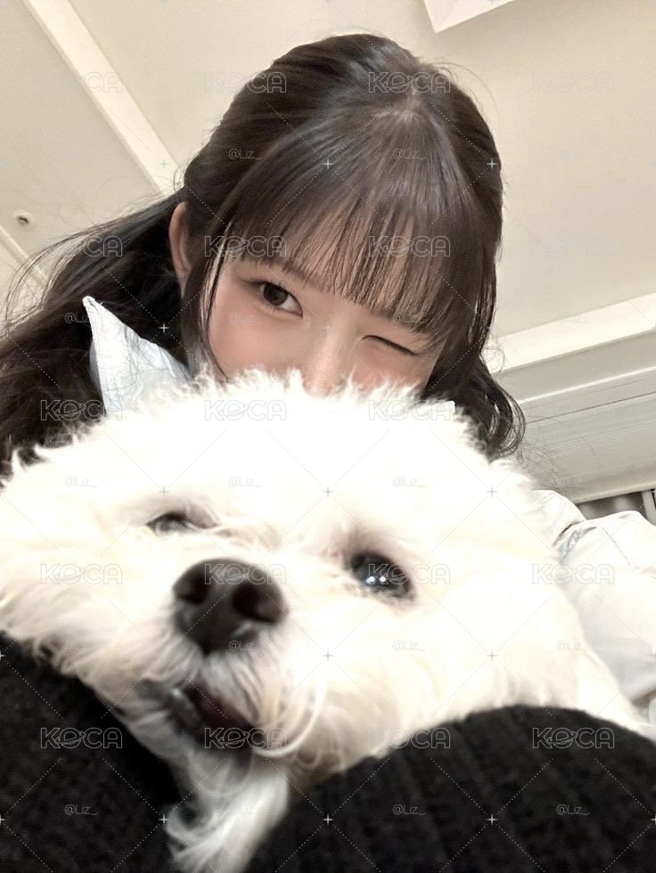 貴包⁄(⁄ ⁄ ⁄ω⁄ ⁄ ⁄)⁄