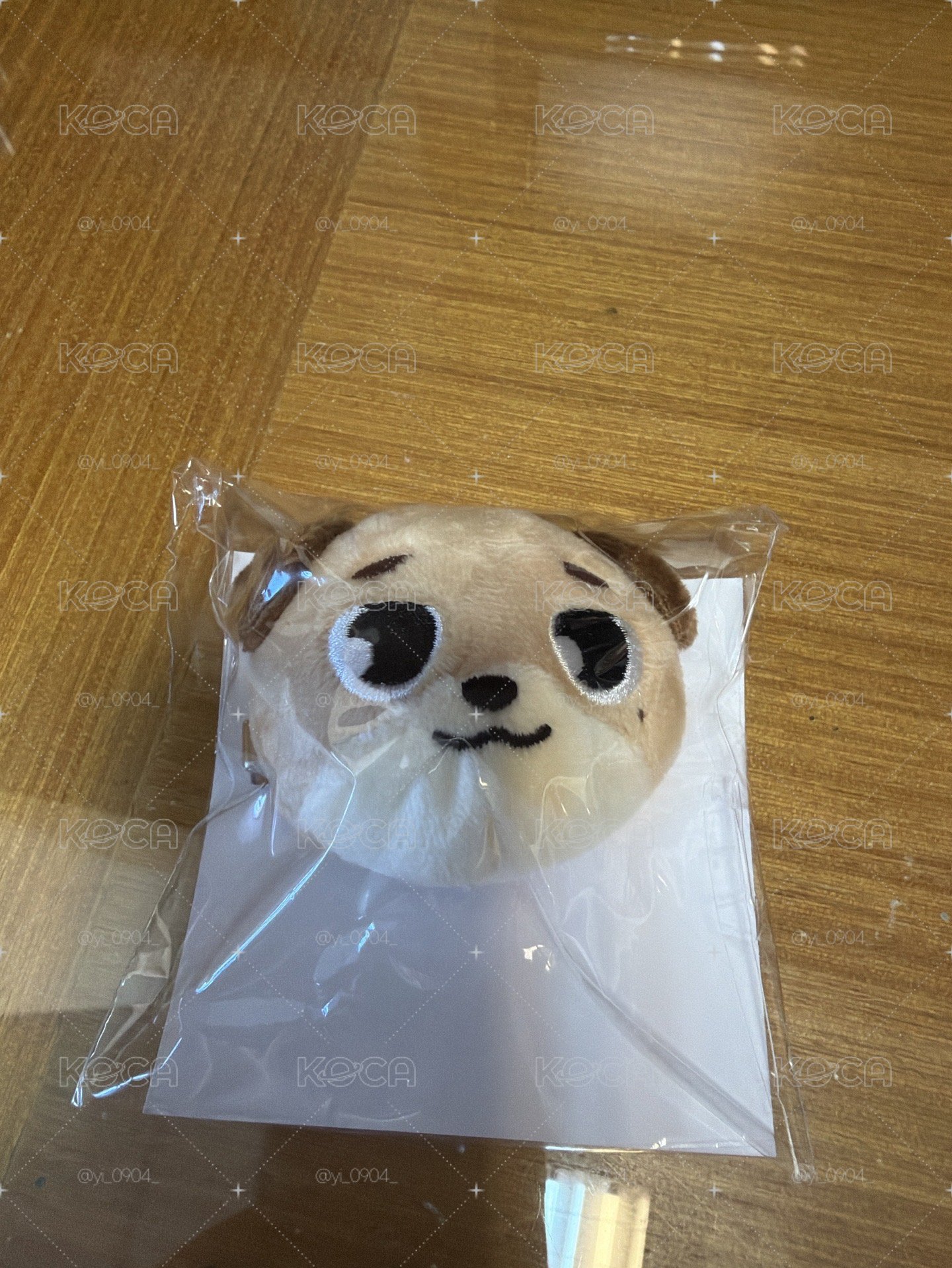 The decade日場 🐶髮夾