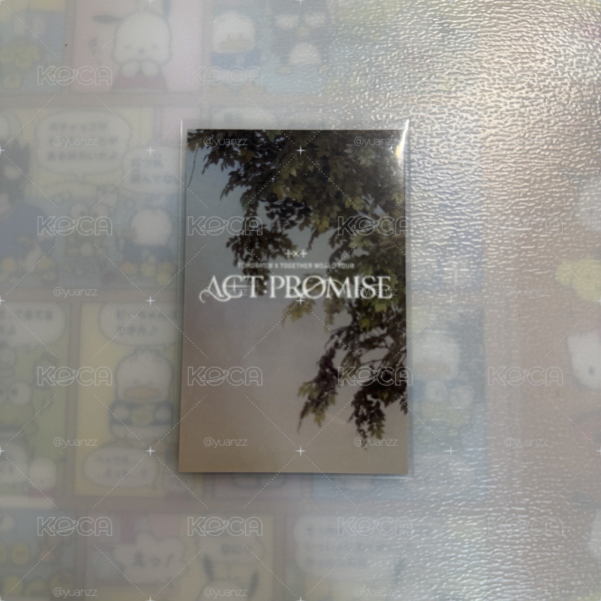 24 ACT:PRONISE 台北粽卡 太顯