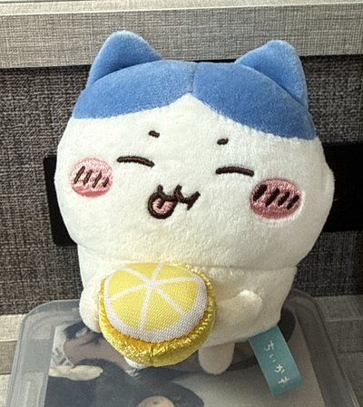 小八兩隻