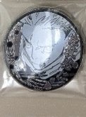 虎杖浮雕
