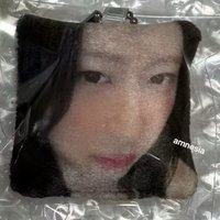GWBG ms 3.0 中簽 毛絨 吊飾 軟墊