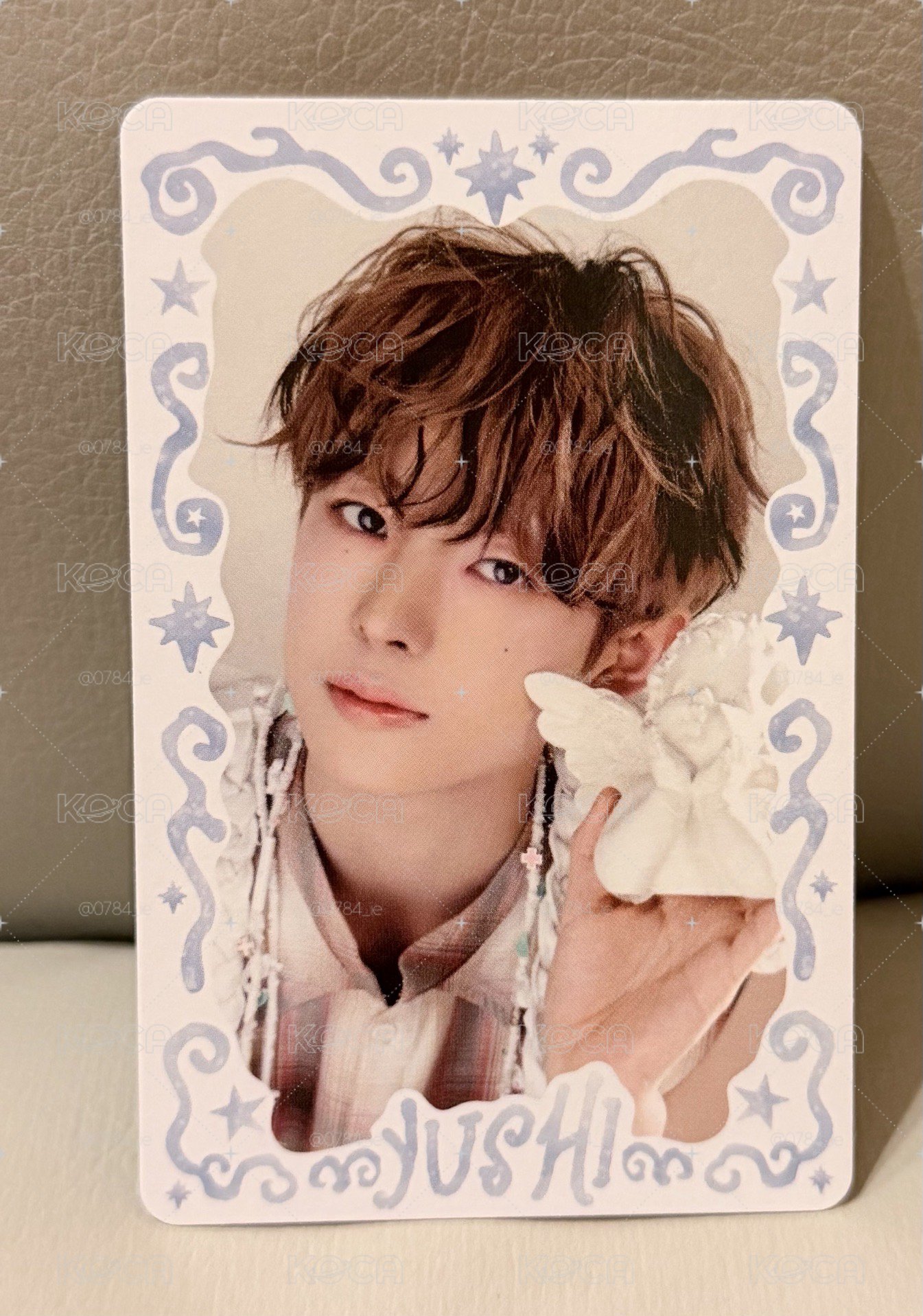 NCT WISH 玳瑁貓髮色志咪