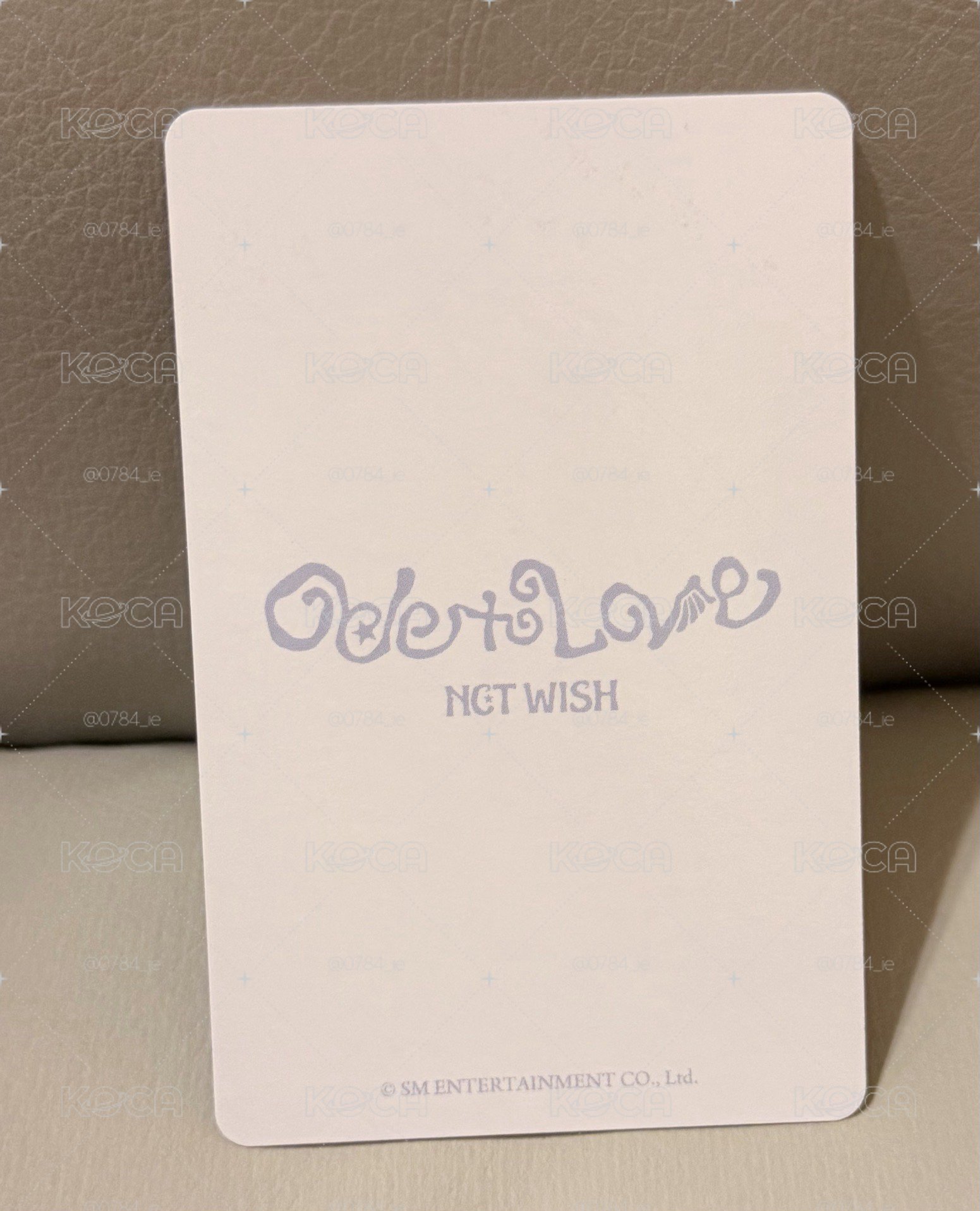 NCT WISH 玳瑁貓髮色志咪