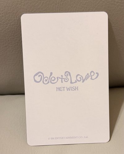 NCT WISH 玳瑁貓髮色志咪