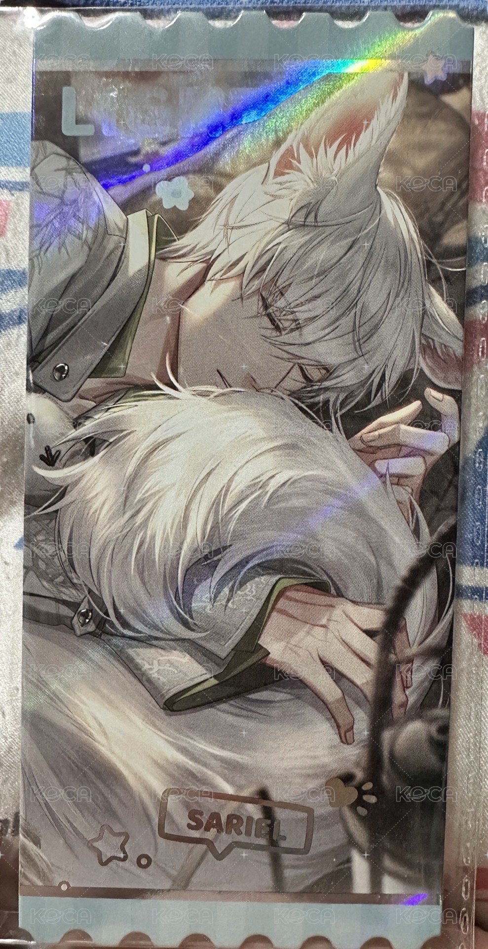 線條小狗聯名 票卡