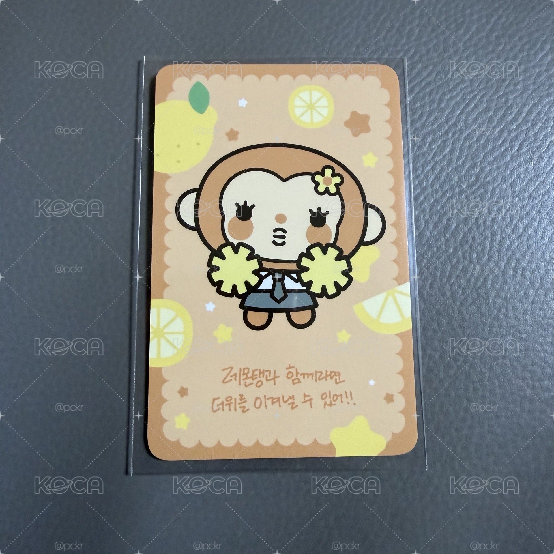 迷二快閃 入場卡 / 場限卡 在台現貨 a-na