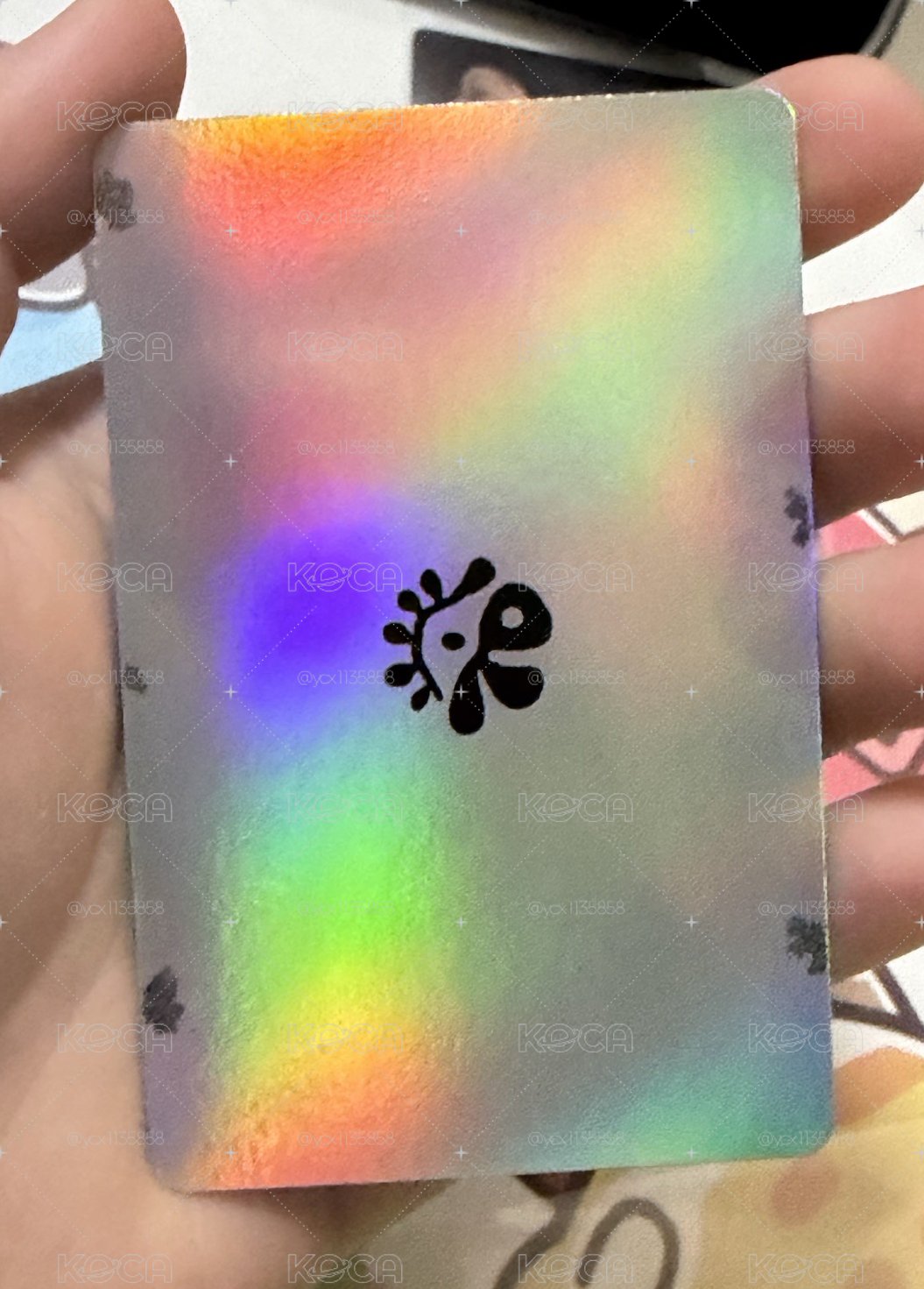 扣提斯球專團卡