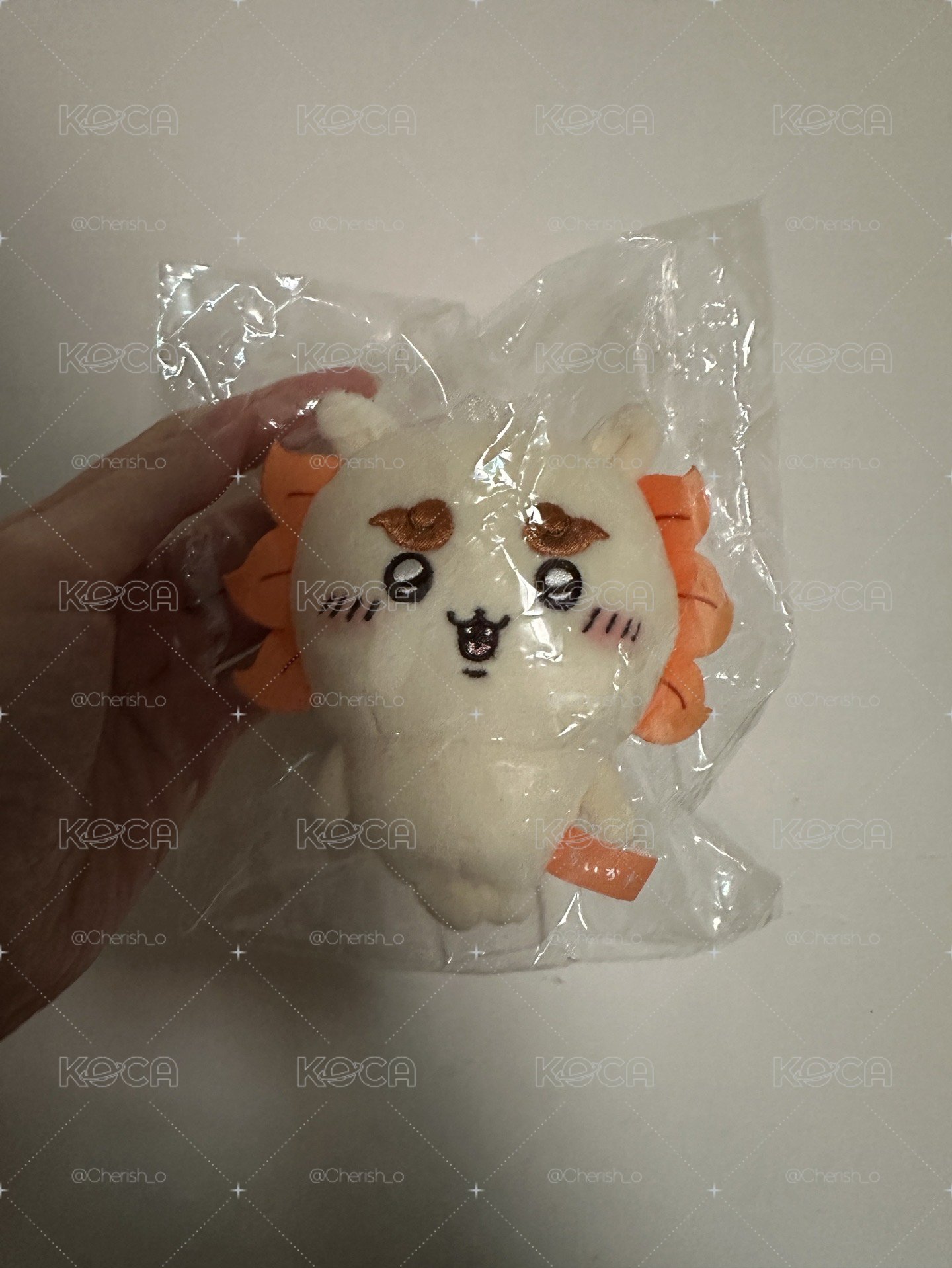 無牌無鍊小腳師薩