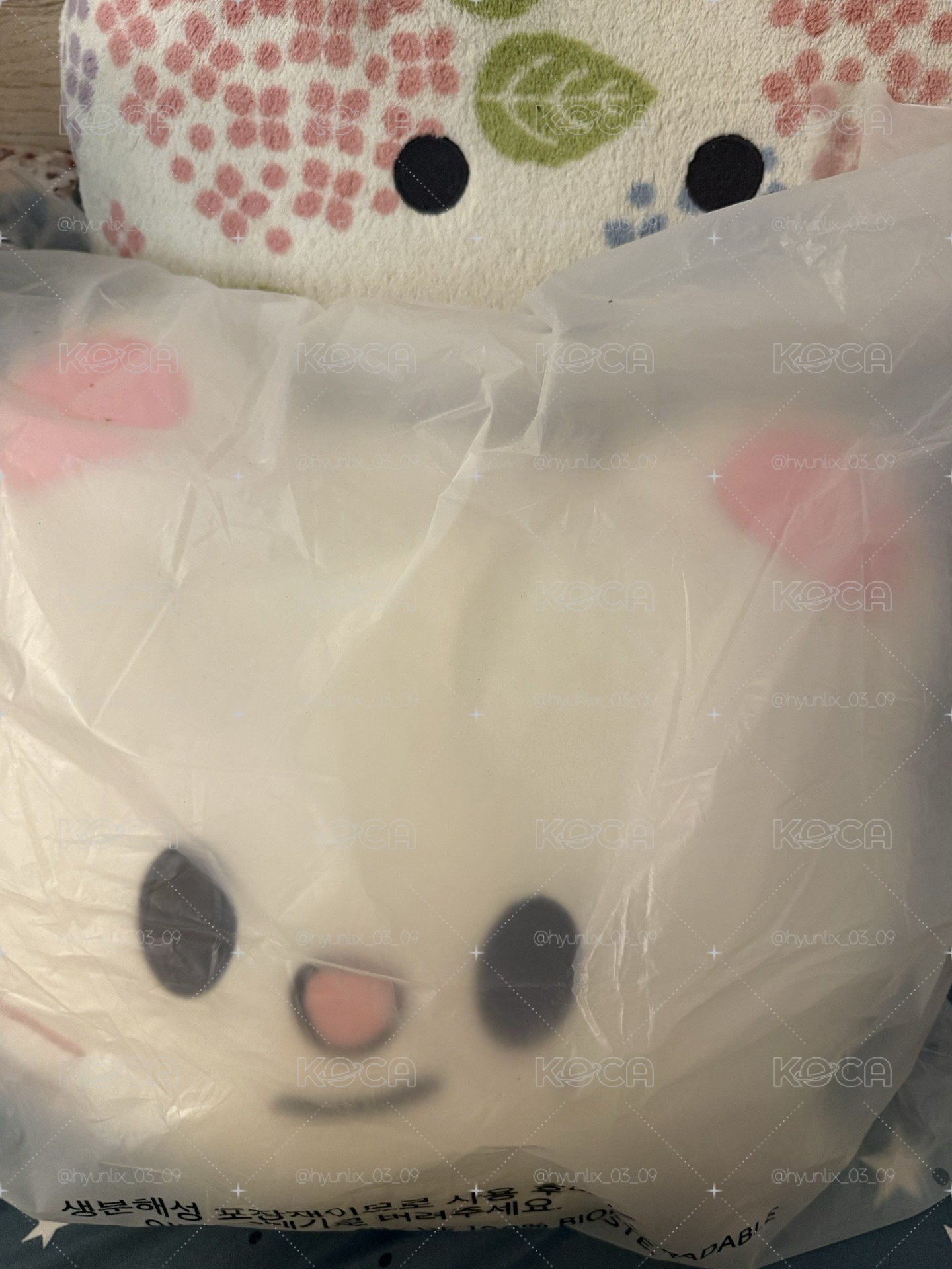 辰 豆豆眼抱枕