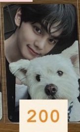 🟠狗狗奎
