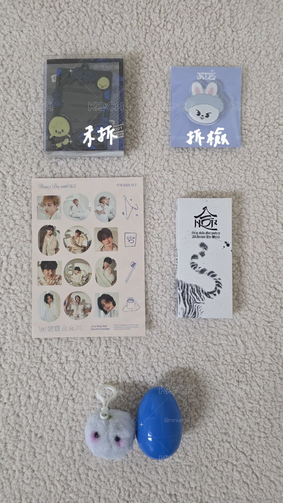 泰迪玟盤