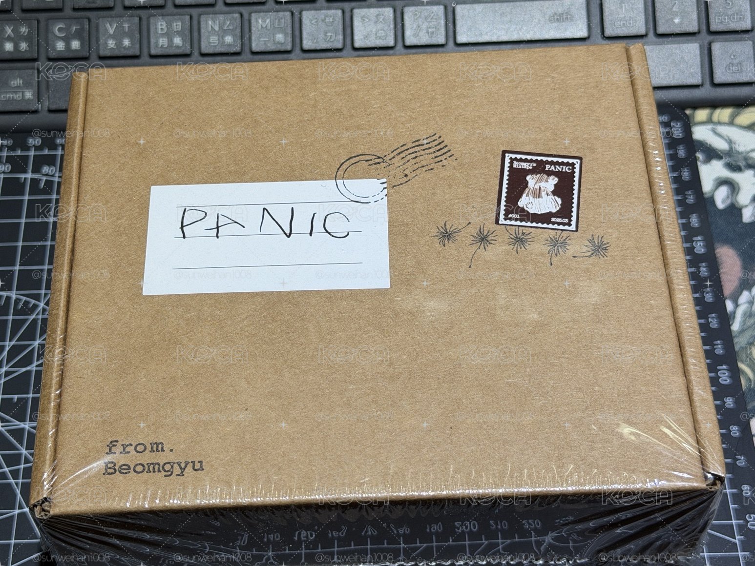 PANIC 未拆專