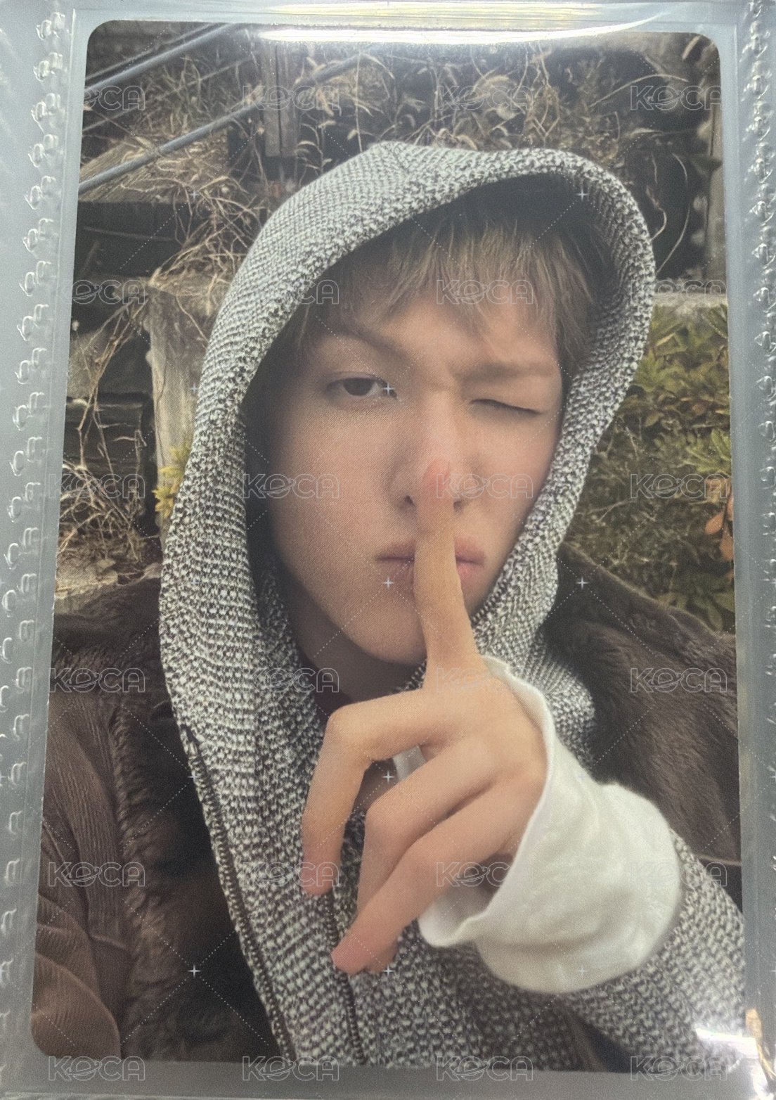 馬