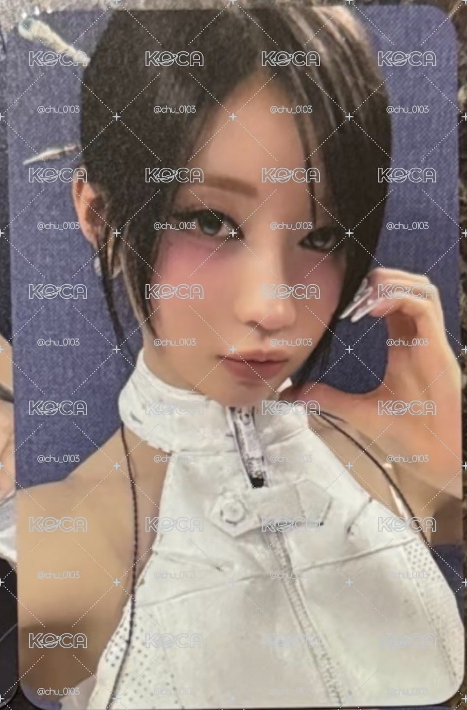 二週年會員禮角
