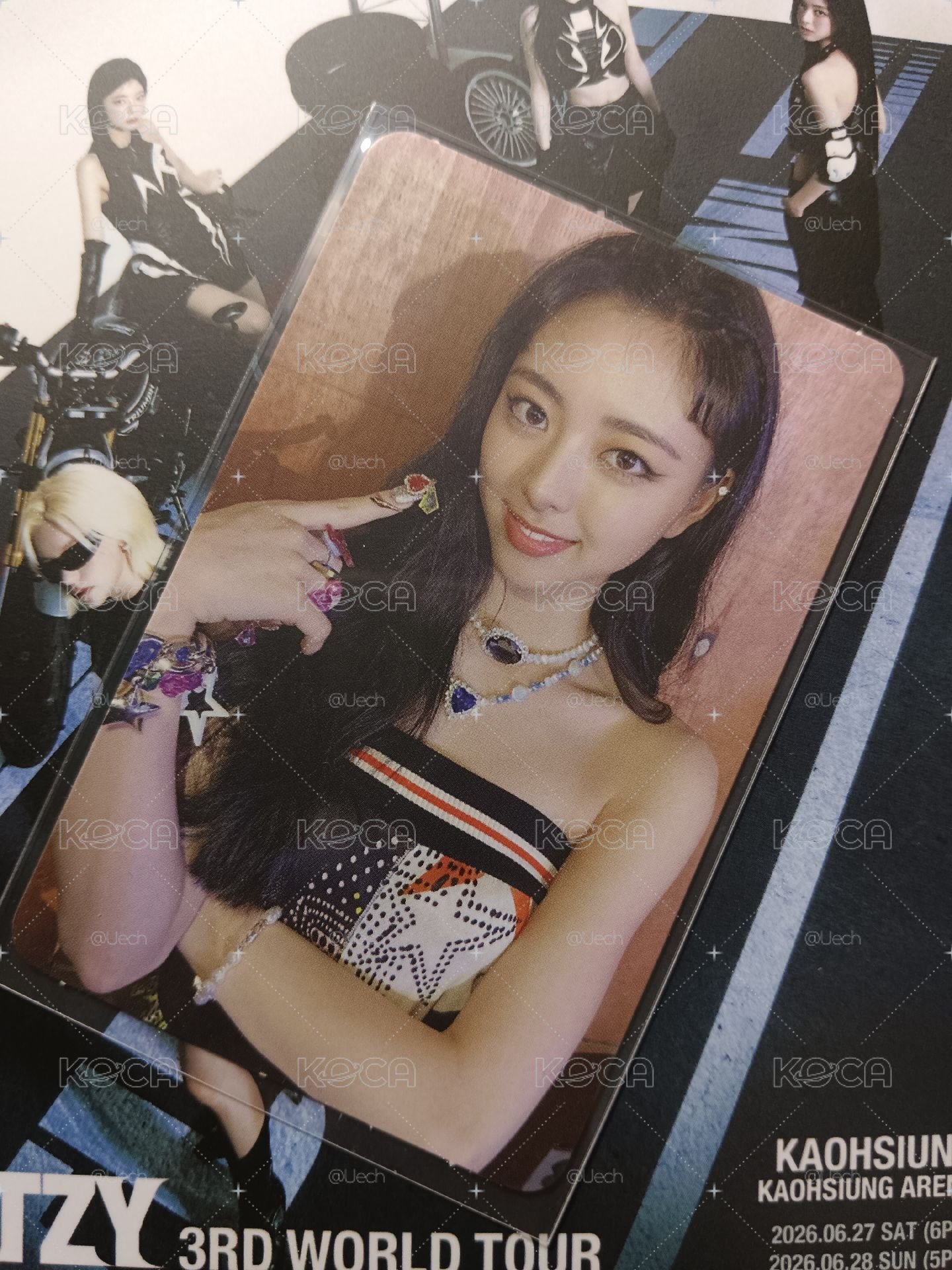 not shy 專卡