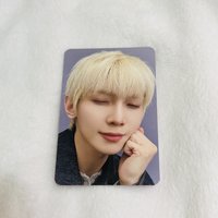 尚