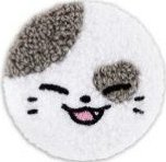 2024 FM jyp TWINZY 毛絨 徽章 KKengEE
