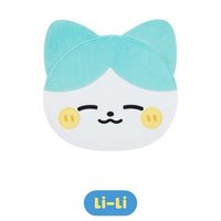 2024 FM jyp TWINZY 韓版 扇套 Li-Li