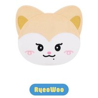 2024 FM jyp TWINZY 韓版 扇套 RyeoWoo