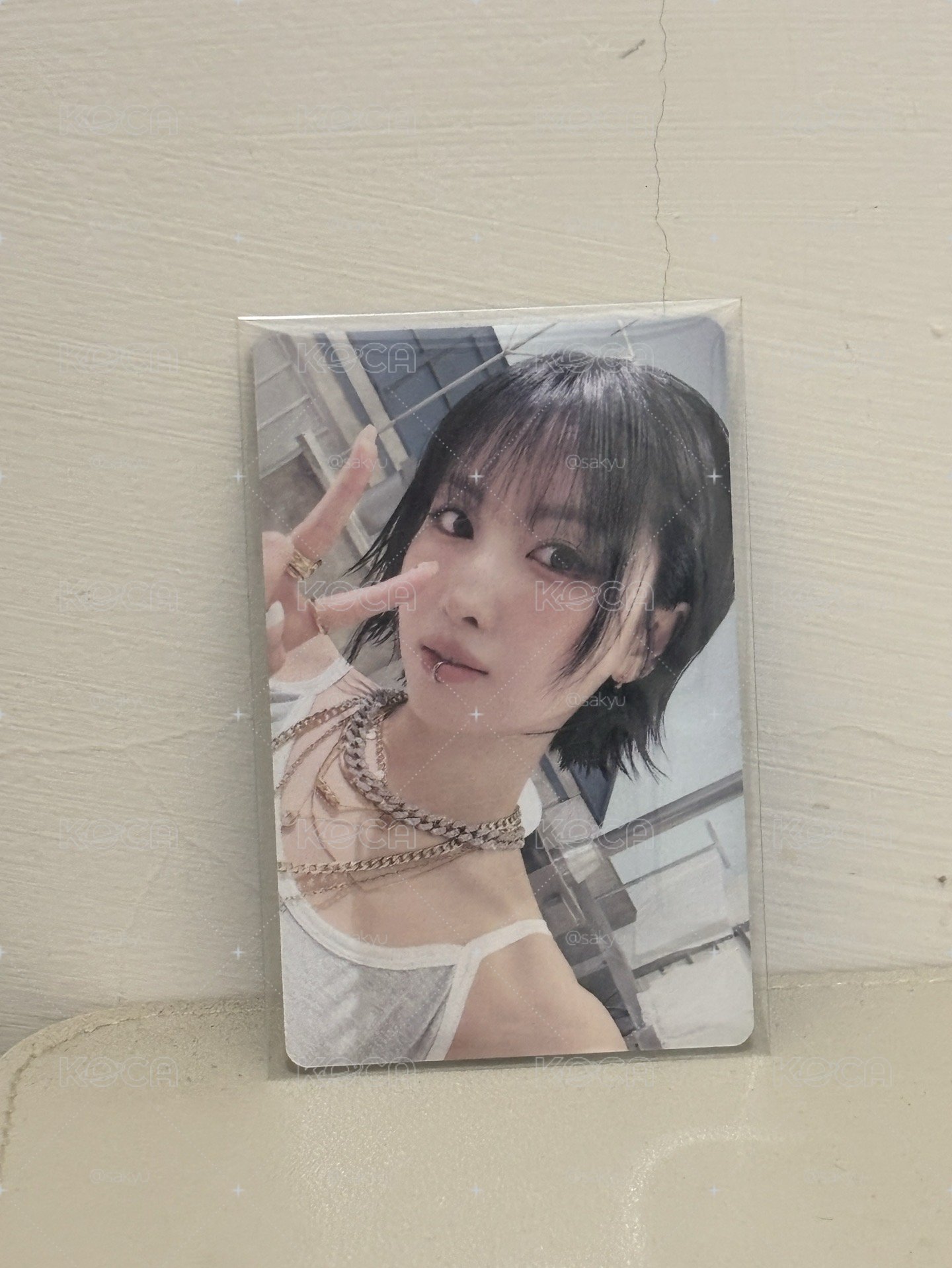 Momo 一直娛 簽售卡