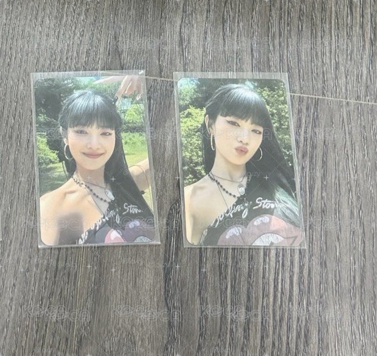 23世巡 周邊卡妮