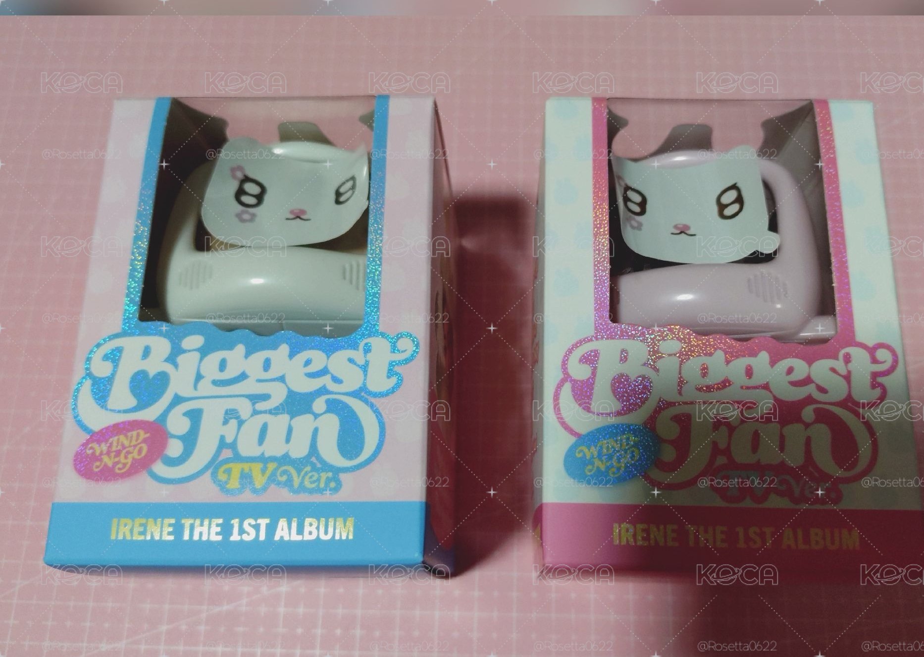 Biggest Fan TV版空專兩個