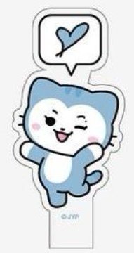 2024 FM jyp TWINZY 手燈插牌 應援手燈 RyuJJI