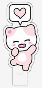 2024 FM jyp TWINZY 手燈插牌 應援手燈 NAong