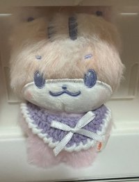 紫