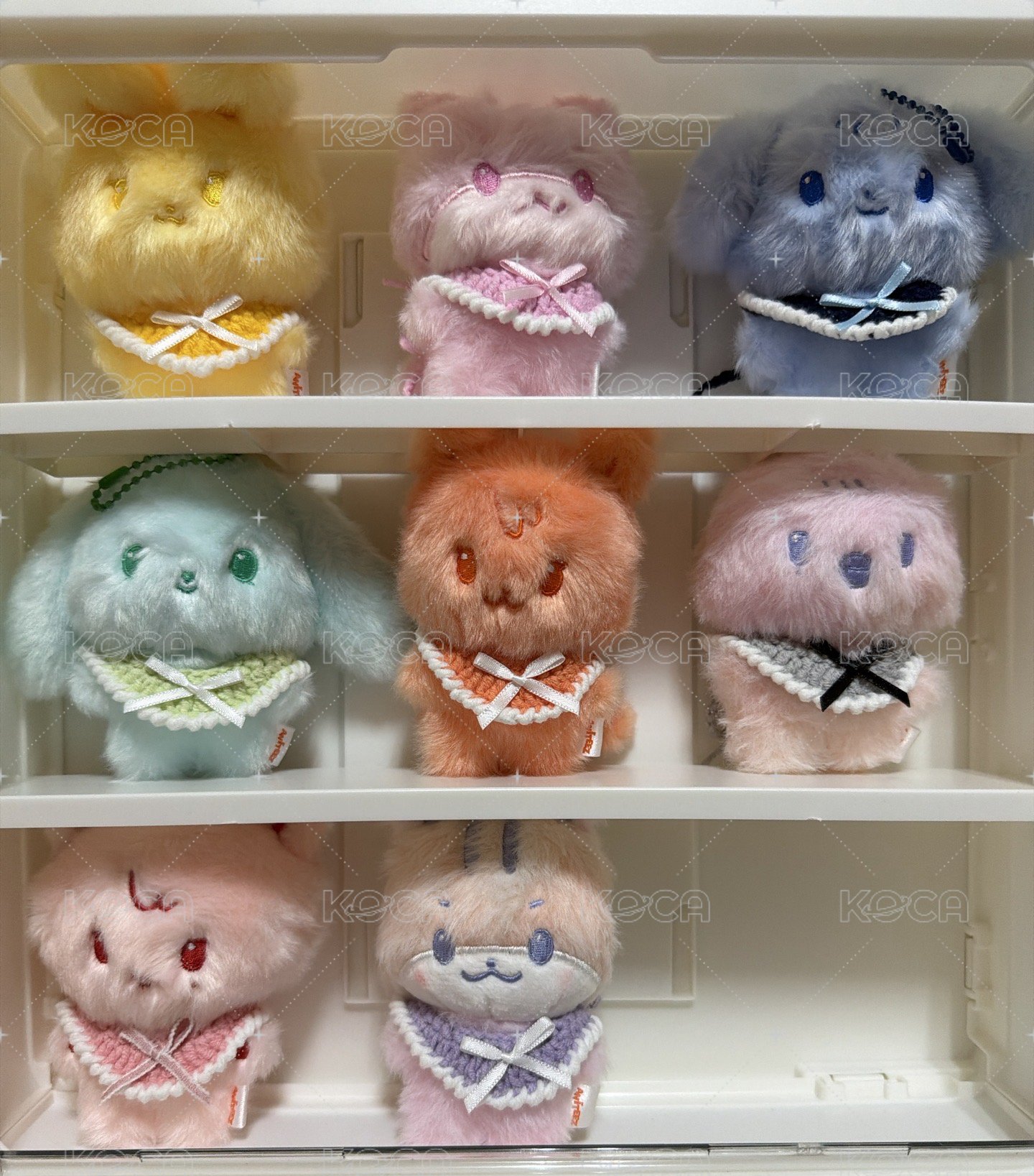 8色各一