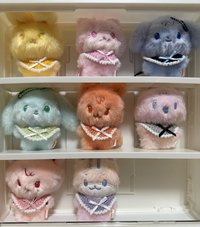 8色各一