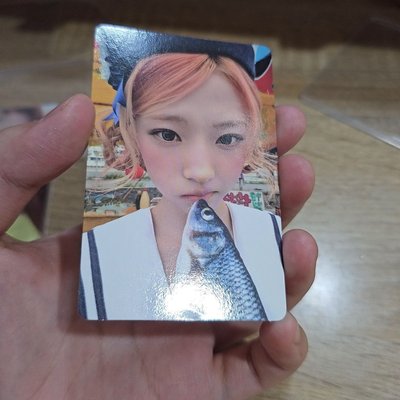 迷二 專卡 stella