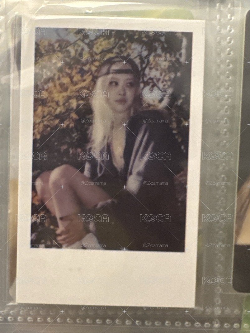 Rosie釜山快閃 預購特典