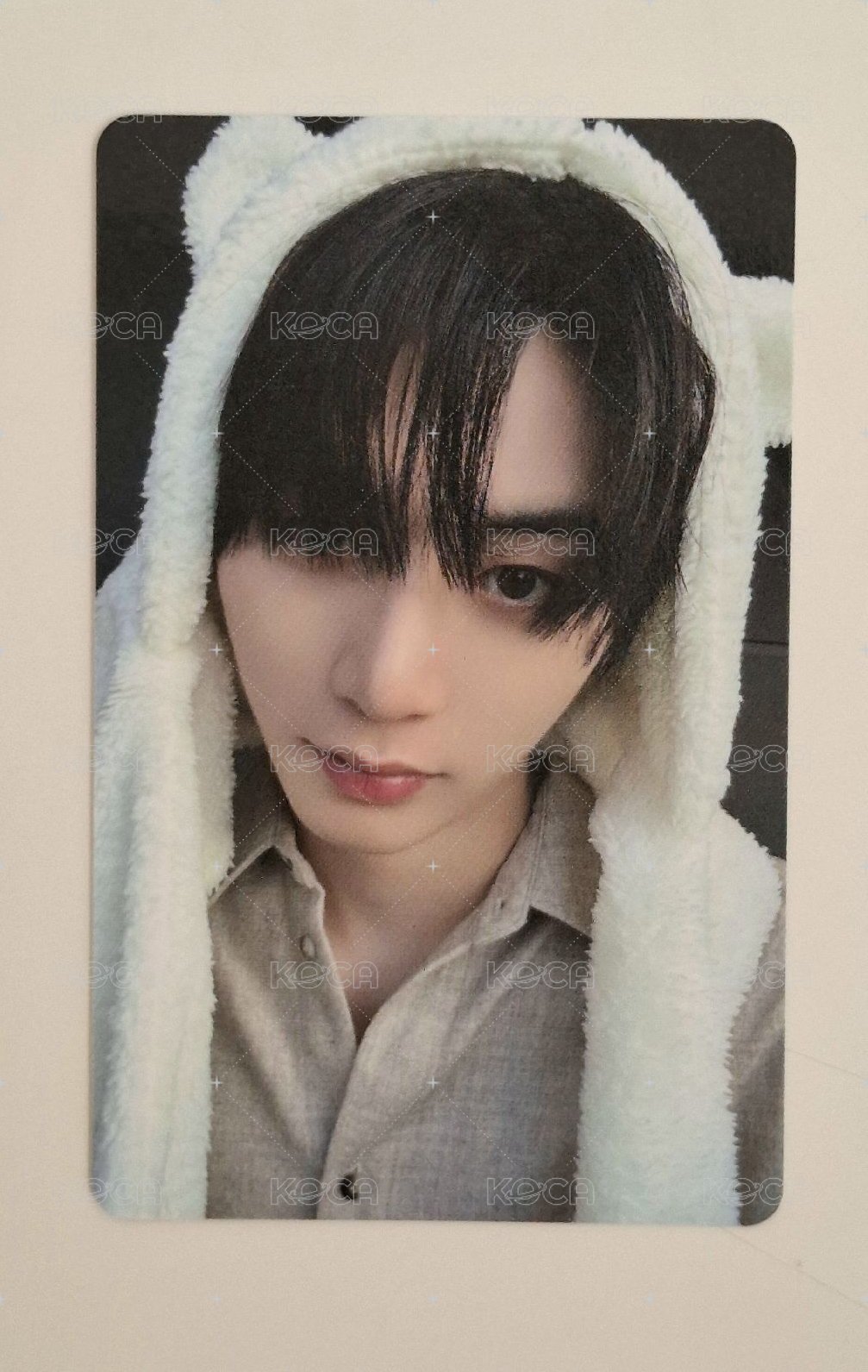 小熊🐈‍⬛