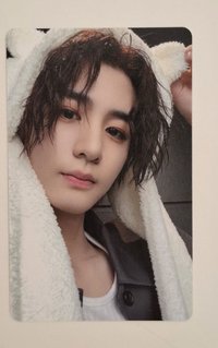 小熊🦁