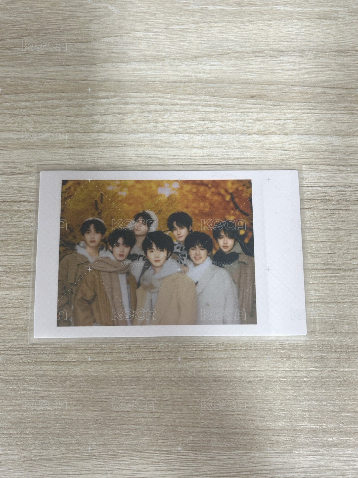 秋日團卡