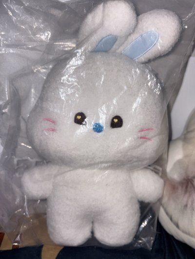 bunni haerin白兔中娃
