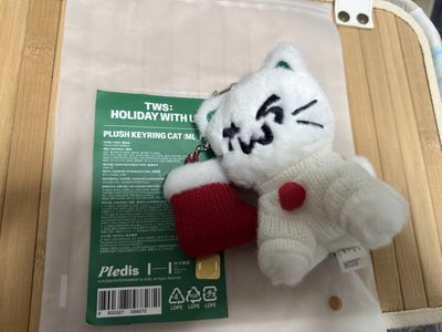 TWS HOLIDAY WITH US Plush Keyring （Cat）