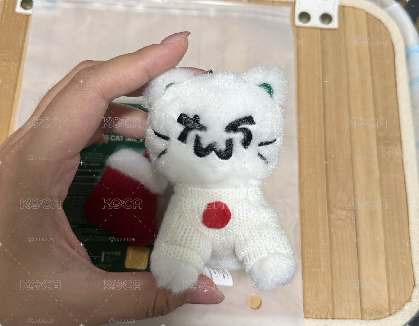 TWS HOLIDAY WITH US Plush Keyring （Cat）