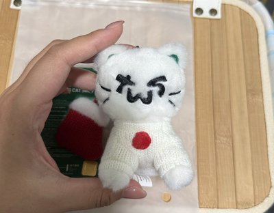 TWS HOLIDAY WITH US Plush Keyring （Cat）