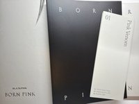 BORN PINK灰版 空專