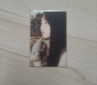 19（卡背已撕