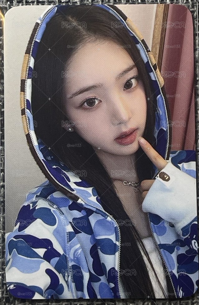現貨｜WM 鯊魚Leesol🦈