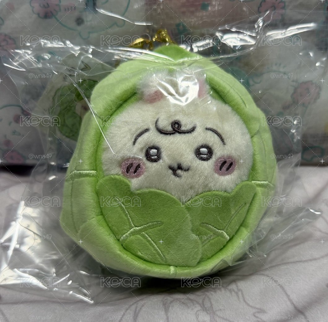 高麗菜兔兔